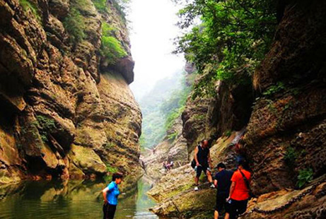 鄭州中巴車(chē)出租